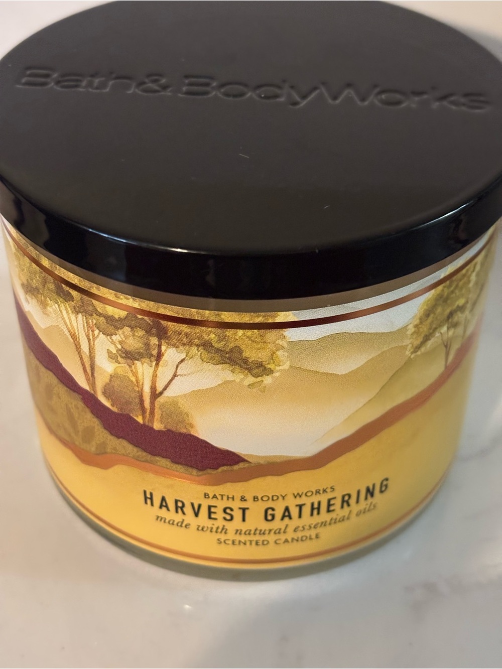 Bath & Body Works 3-Wick Harvest Gathering Scented Candle